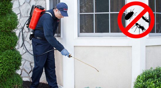 Fındıklı Hamam Böceği İlaçlama böcek ilaçlama ve haşere kontrolü — ilaclama-tr.com
